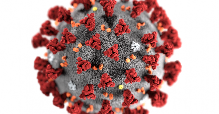 vaccino-influenza-coronavirus-5-750x391