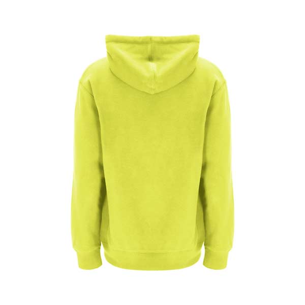 russell-iconic-hoody-sweat-shirt-limelight-E3-606-1-348-retro