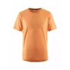ADV essence SS tee M sour