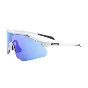 Gafas 2984