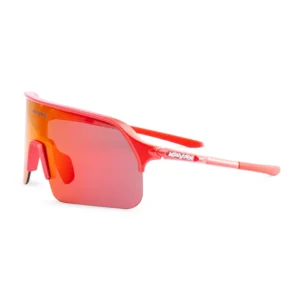 Gafas 3029