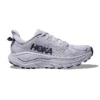 Challenger 8 W ambient blue/blueberry