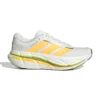 Adistar BYD 2 clowhi/luta