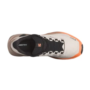 Salomon Genesis 2 GTX W rainy day dsrtan nectrn L45388200 alta