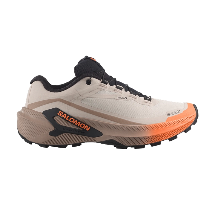 Salomon Genesis 2 GTX W rainy day dsrtan nectrn L45388200 Salomon Genesis 2 GTX W rainy day dsrtan nectrn L45388200