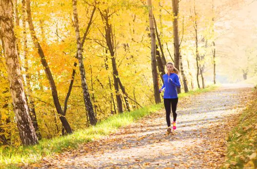 Fotolia_61002584_XXL-527x347