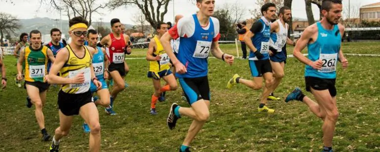 12783553_1686078121650122_4434626577858007923_o-776x310