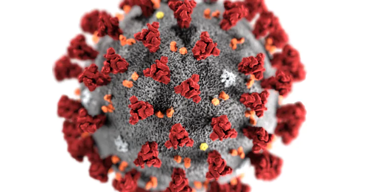 vaccino-influenza-coronavirus-5-750x391