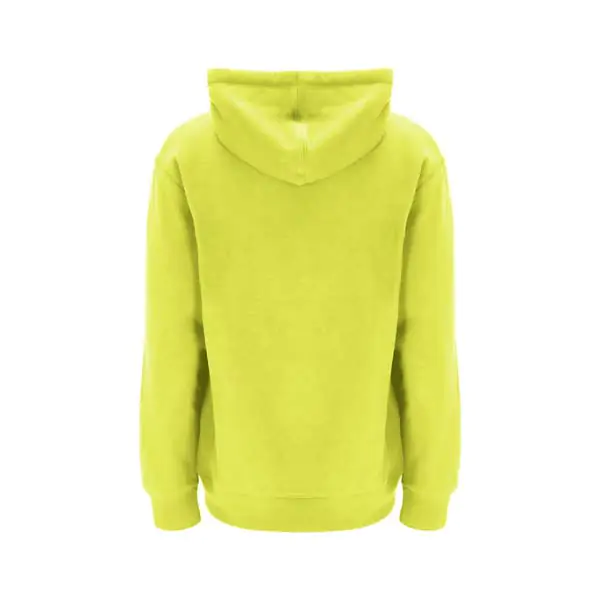russell-iconic-hoody-sweat-shirt-limelight-E3-606-1-348-retro